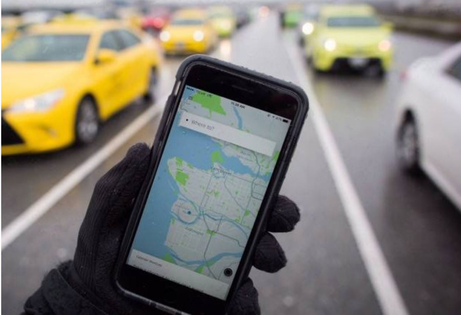 A person holding up their phone to show the location of an area.